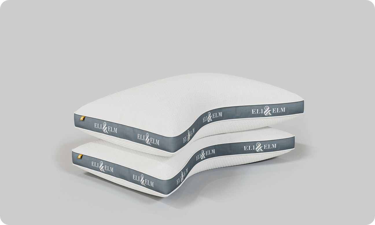 2-Pack Pillow